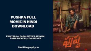 Read more about the article [ Download ] Pushpa Full Movie in Hindi Dubbed 720p & 480p by Filmyzilla, Filmywap, 9xmovies, Moviesflix, Filmymeet