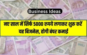 Read more about the article Business Idea: नए साल में सिर्फ 5000 रुपये लगाकर शुरू करें यह बिजनेस, होगी बंपर कमाई